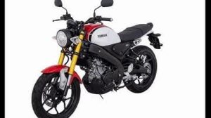 Yamaha XSR 60th for rent in Bali